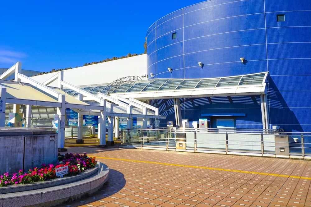 Attractions Photo