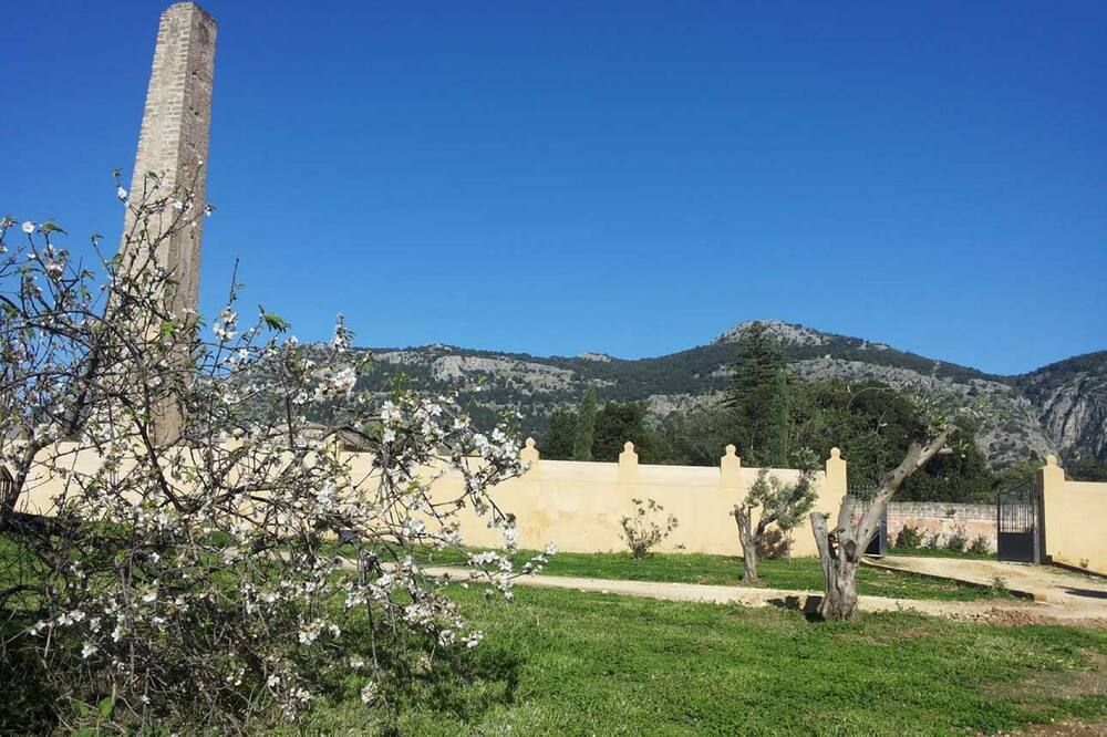 Outdoor view