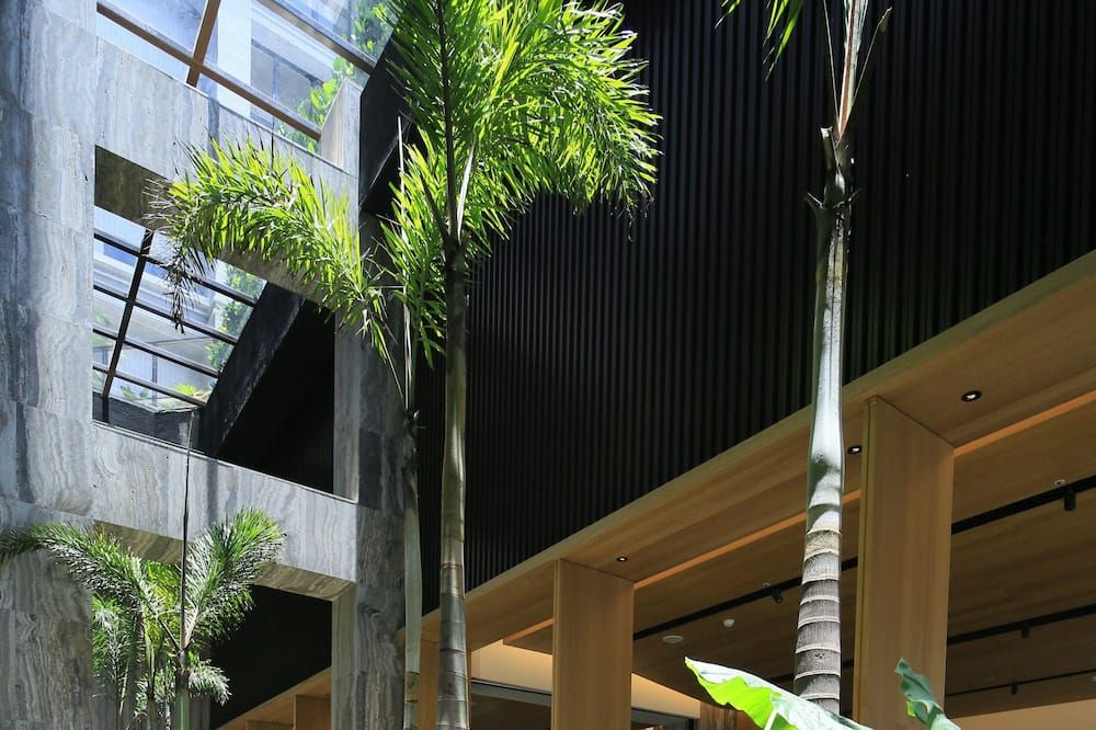 Outdoor view