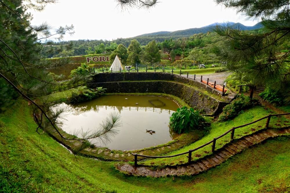 Outdoor view