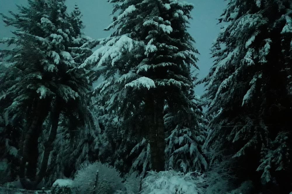 Outdoor view