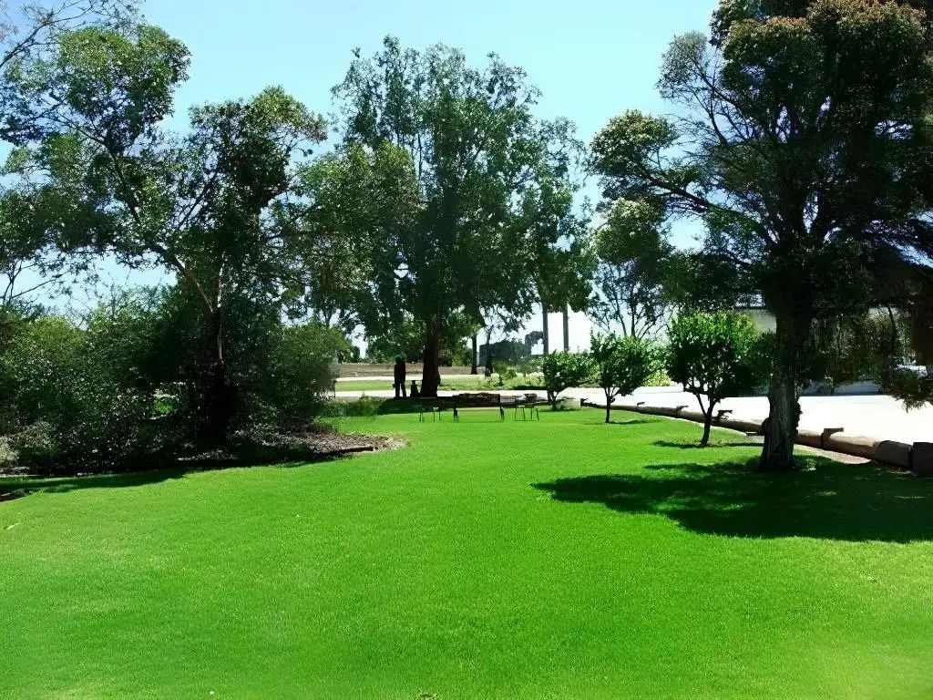 Outdoor view