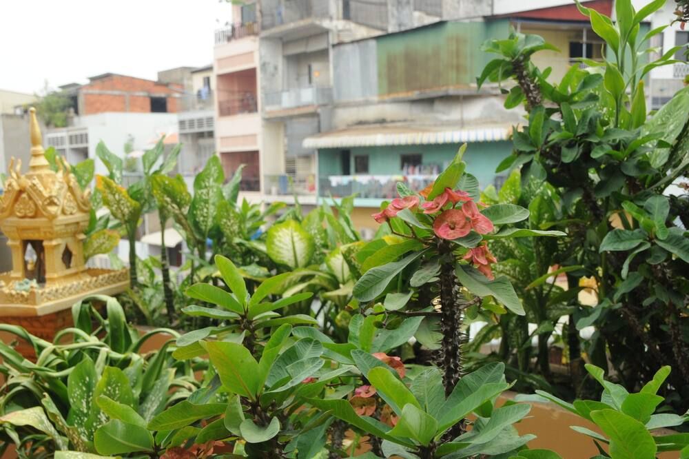Outdoor view