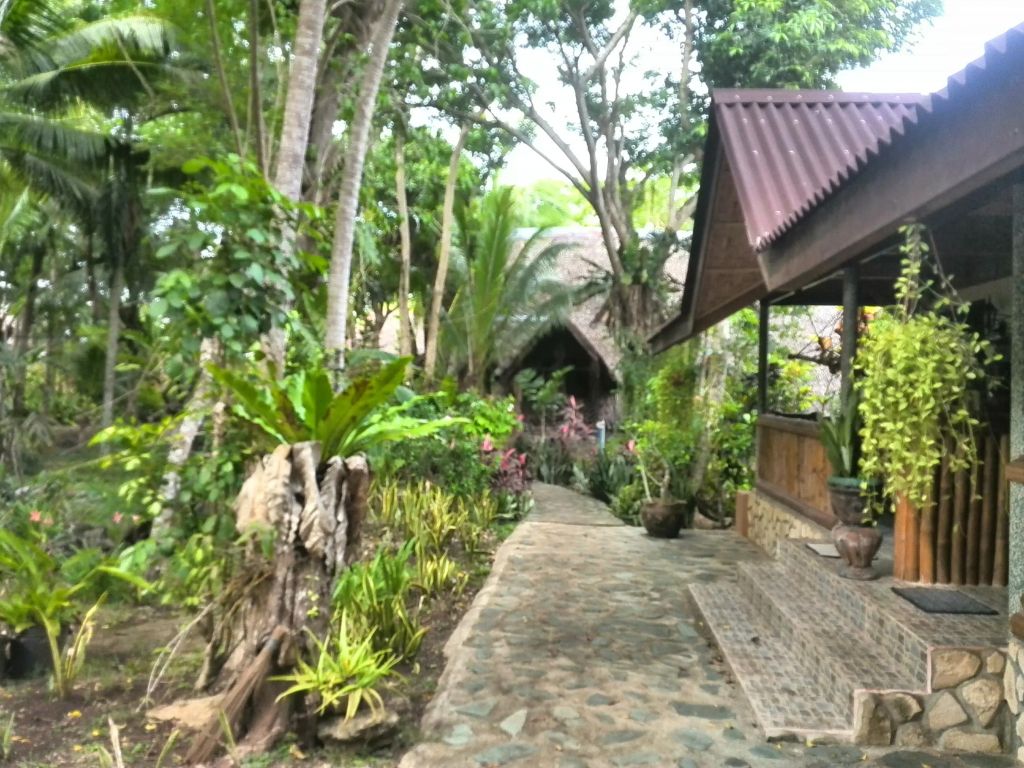 Outdoor view Photo