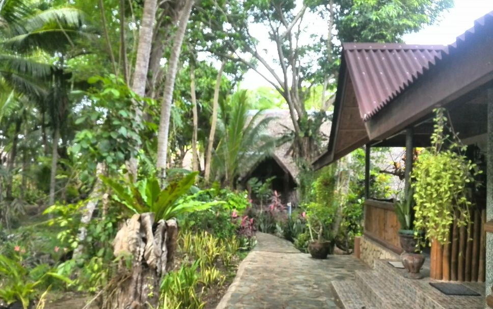 Outdoor view Photo