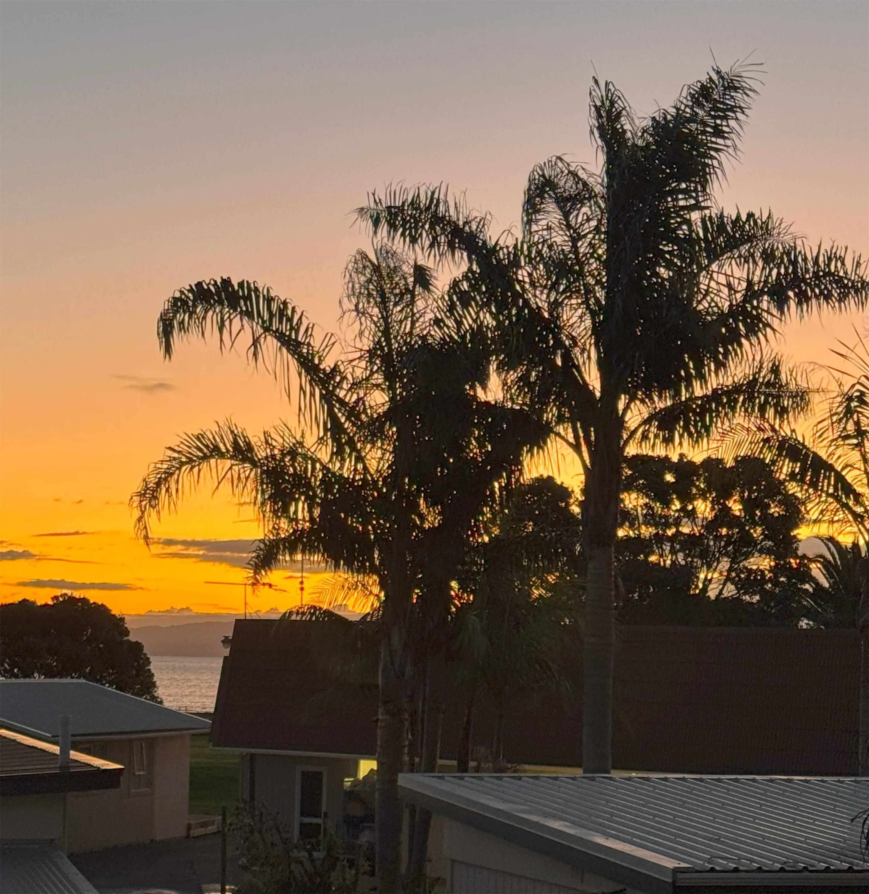 Outdoor view