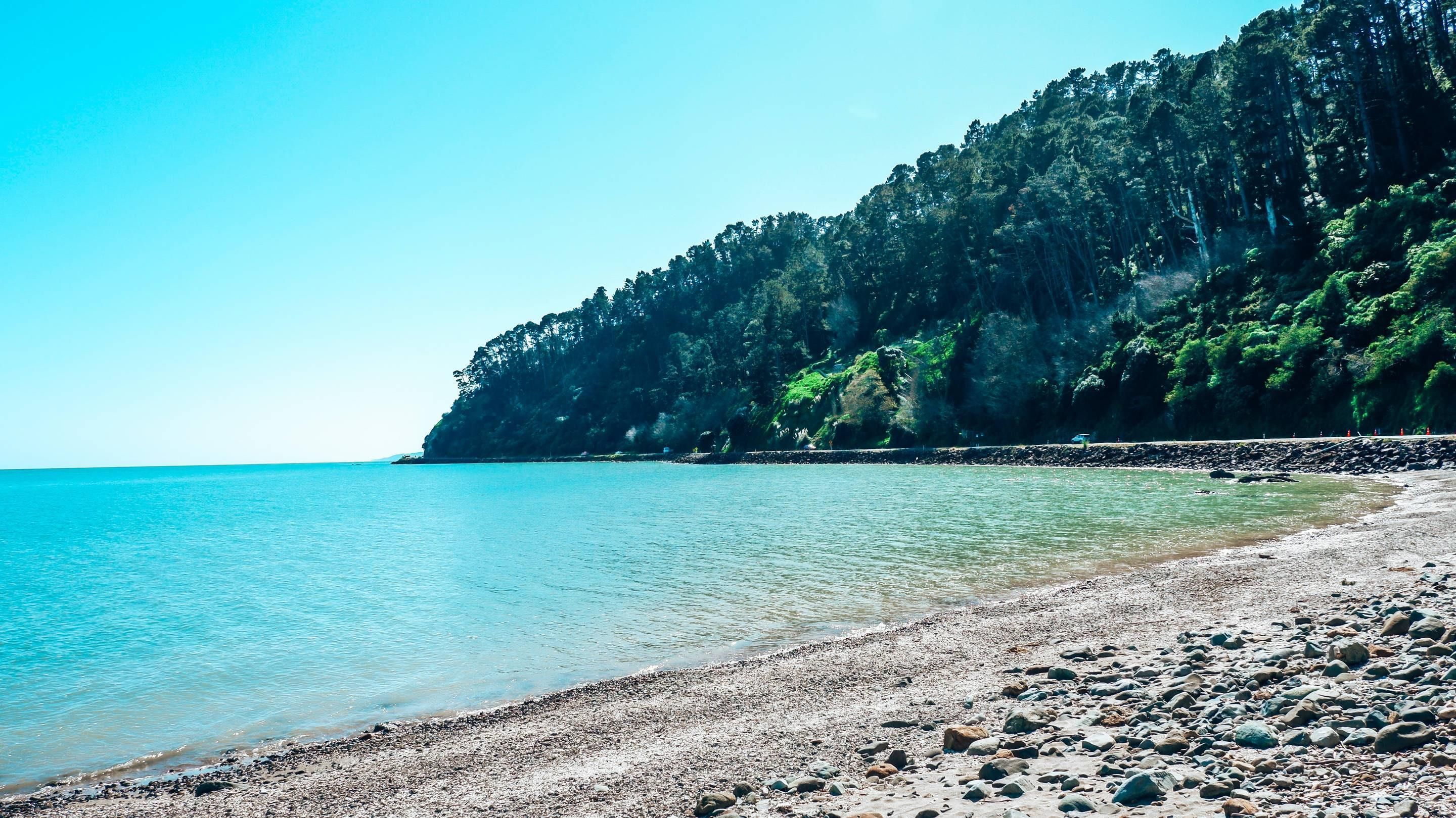 Beach Photo