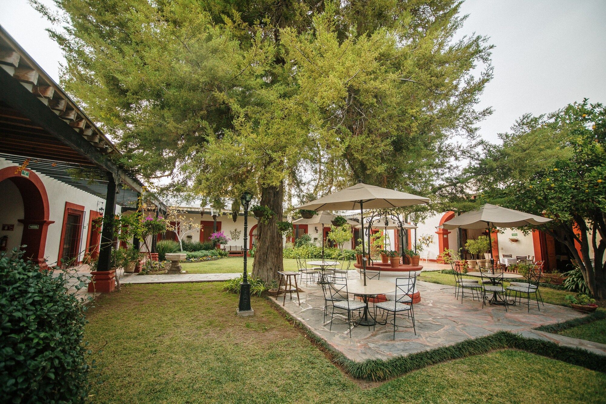 Patio Photo