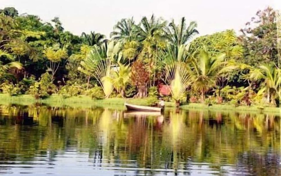 Outdoor view Photo
