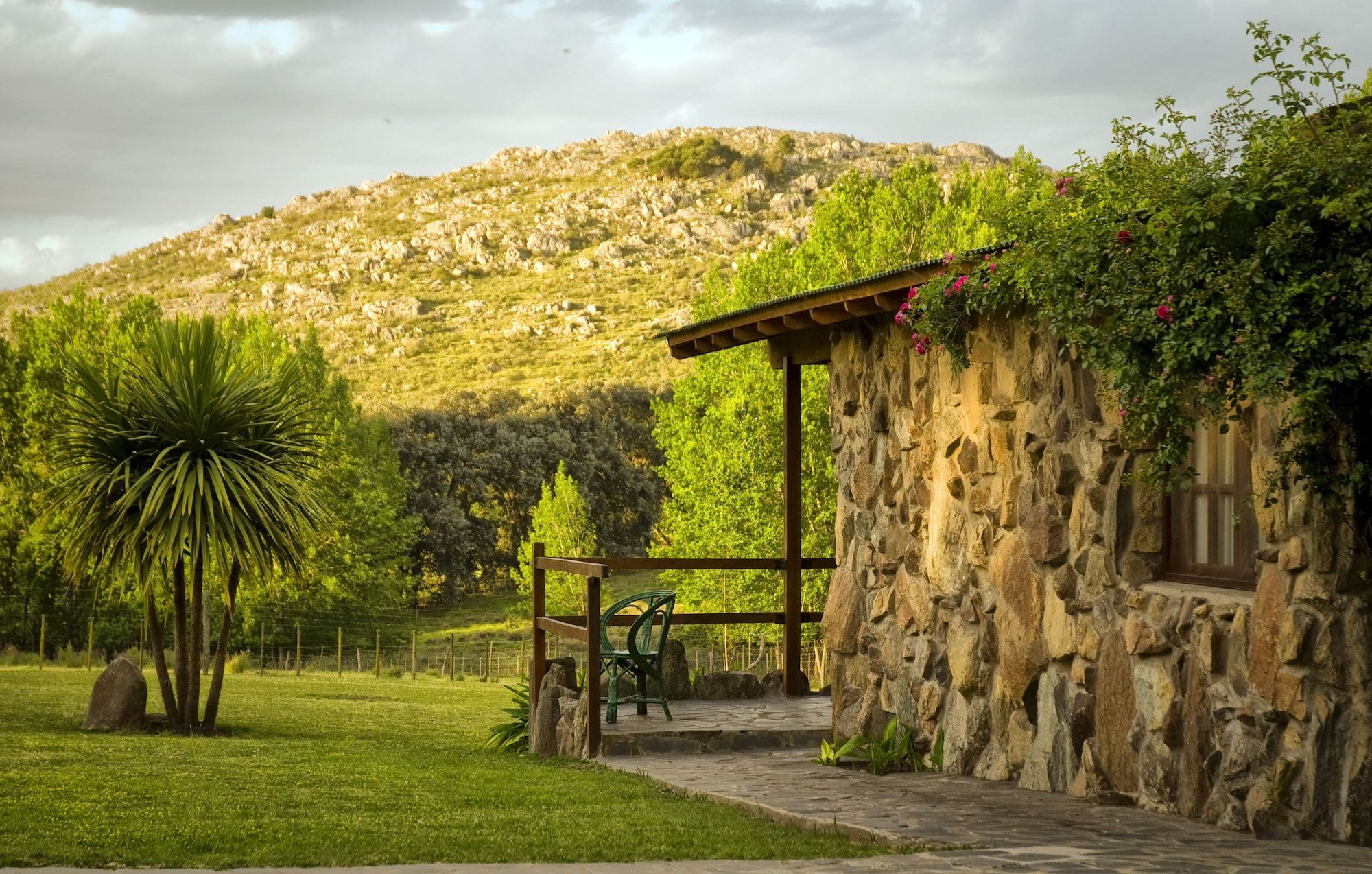 Outdoor view