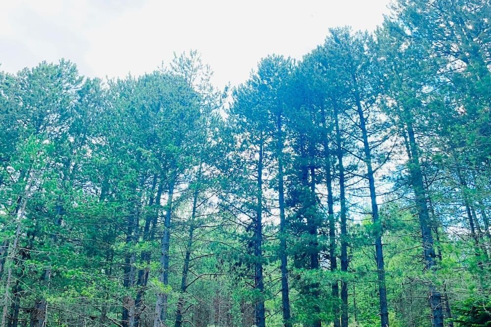 Outdoor view