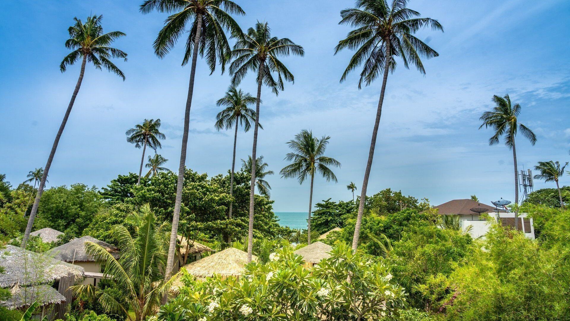 Outdoor view