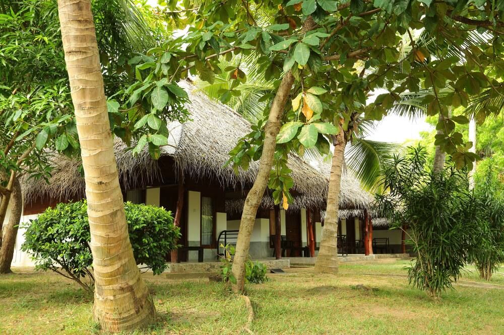 Outdoor view