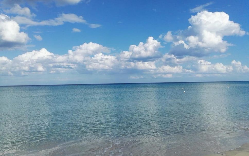 Beach Photo