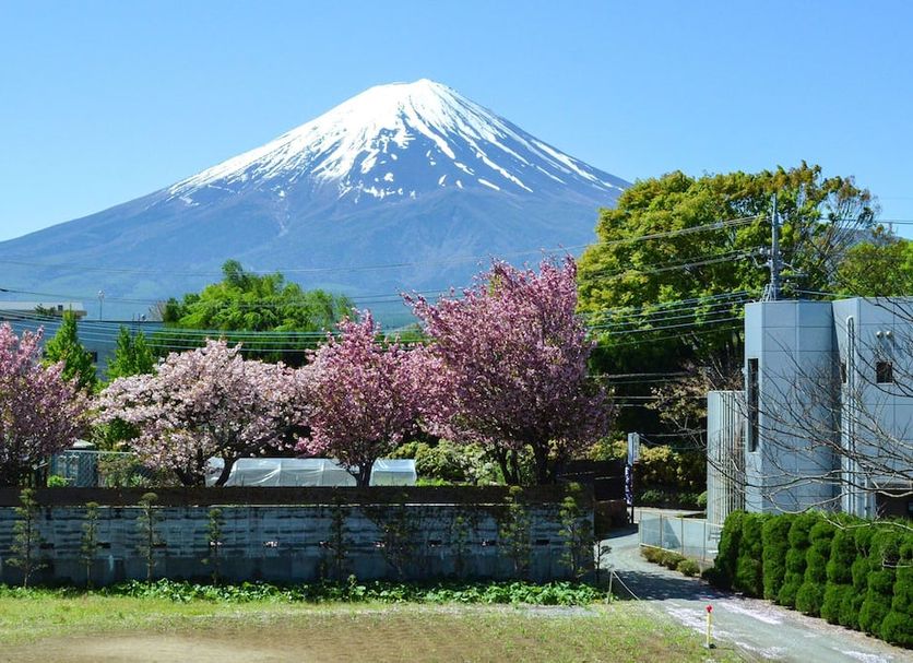 Outdoor view Photo