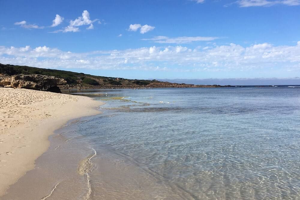 Beach Photo