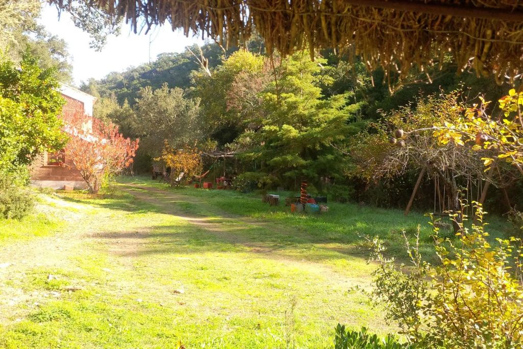 Outdoor view