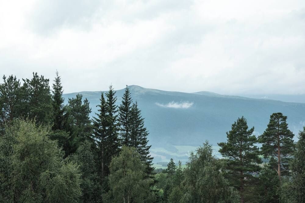 Outdoor view