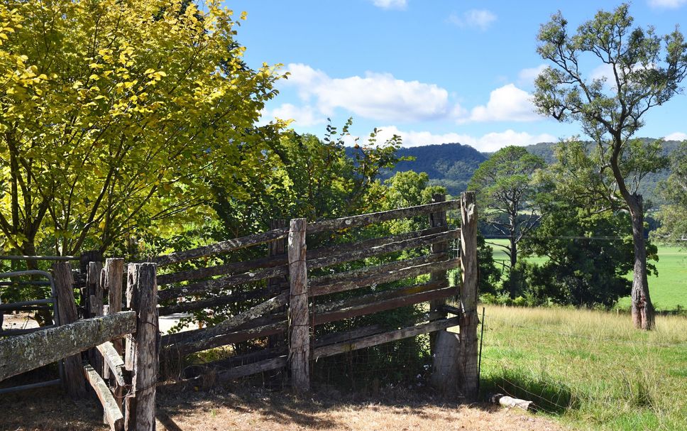 Outdoor view Photo