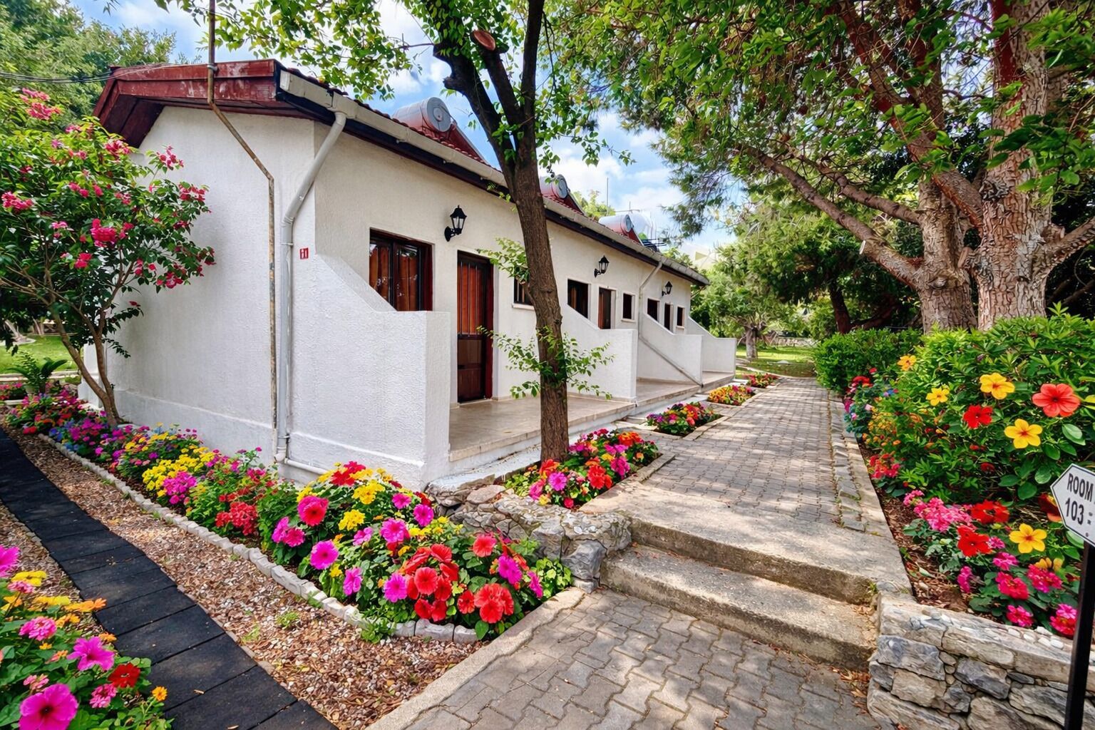 Outdoor view