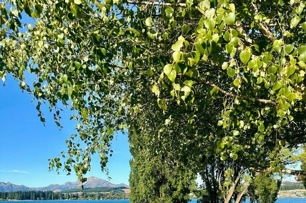 Outdoor view