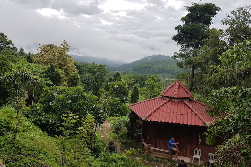 Outdoor view