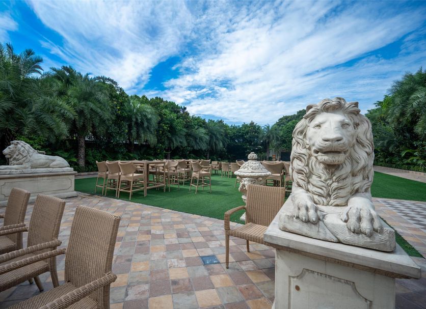 Patio Photo