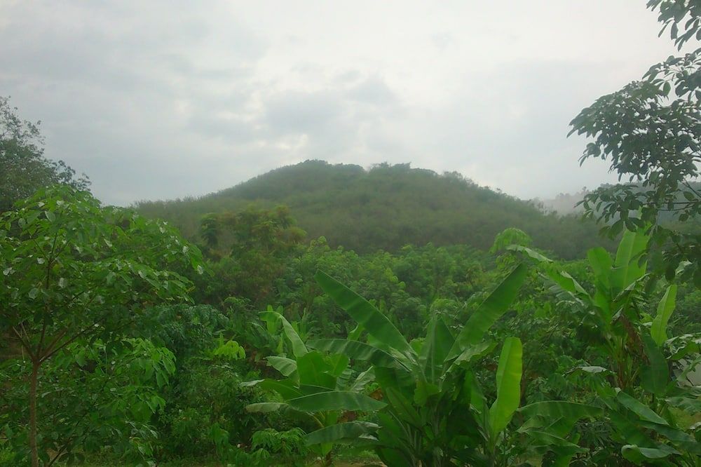 Outdoor view