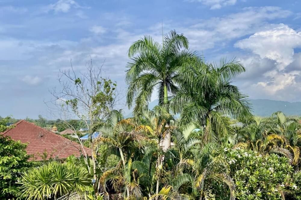 Outdoor view