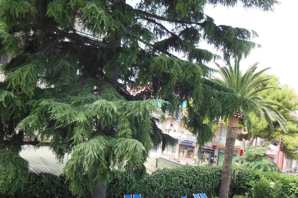 Outdoor view