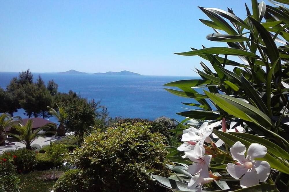 Outdoor view