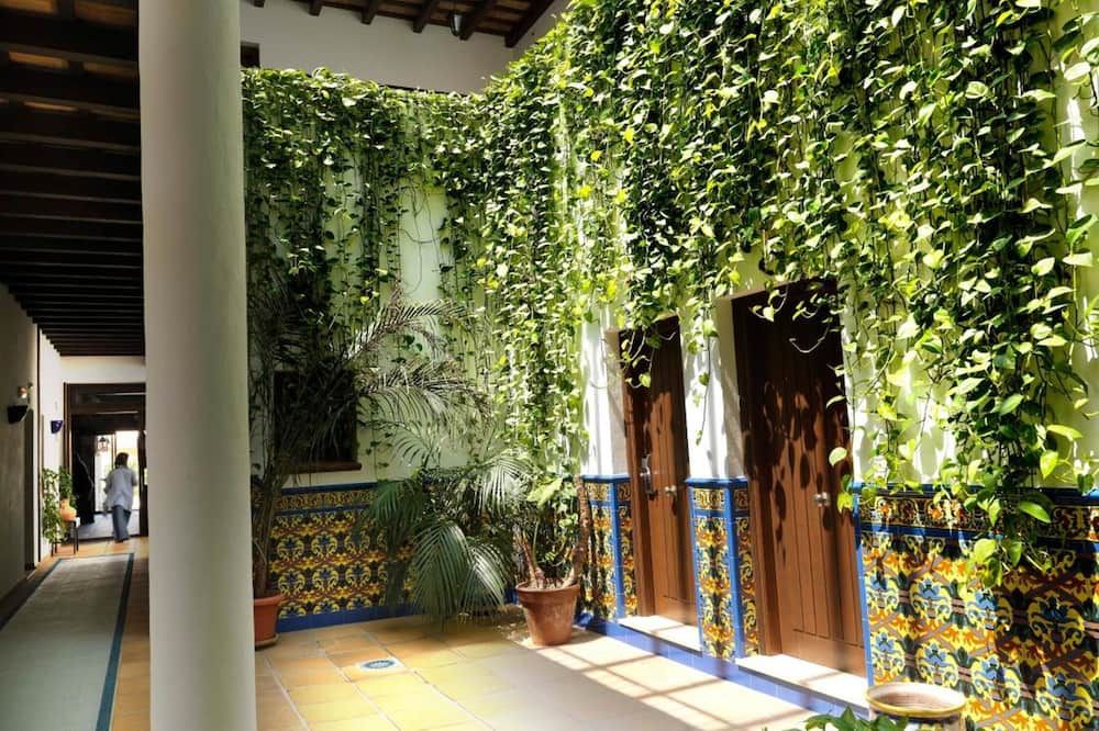 Outdoor view