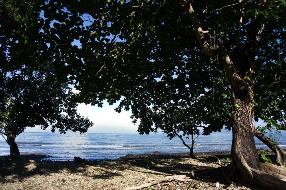 Outdoor view
