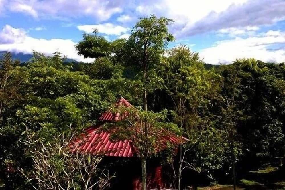 Outdoor view