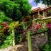 Outdoor view