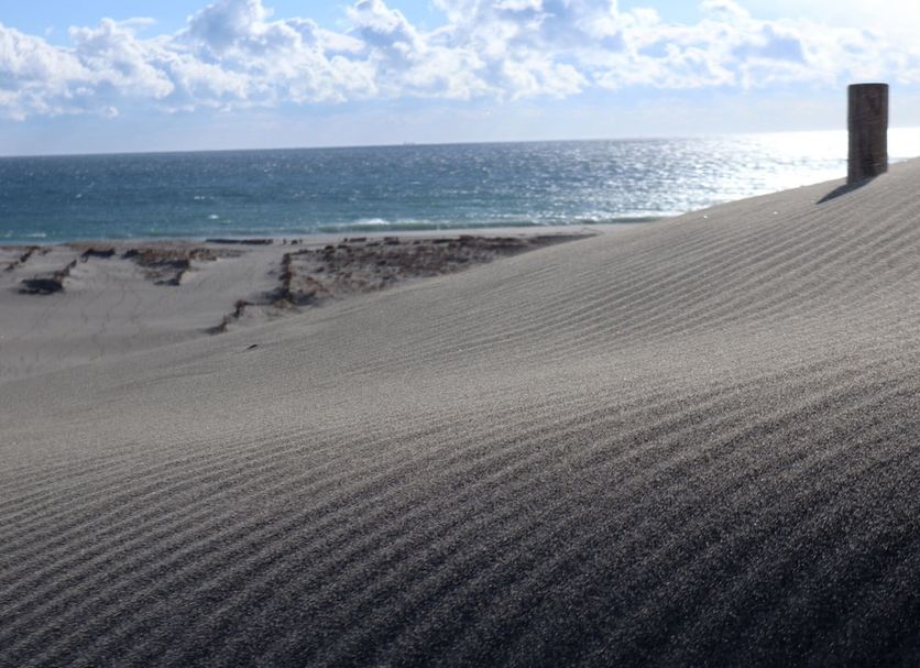 Beach Photo