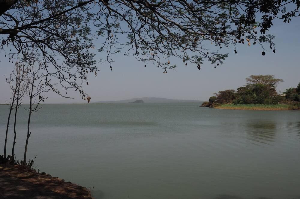 Outdoor view