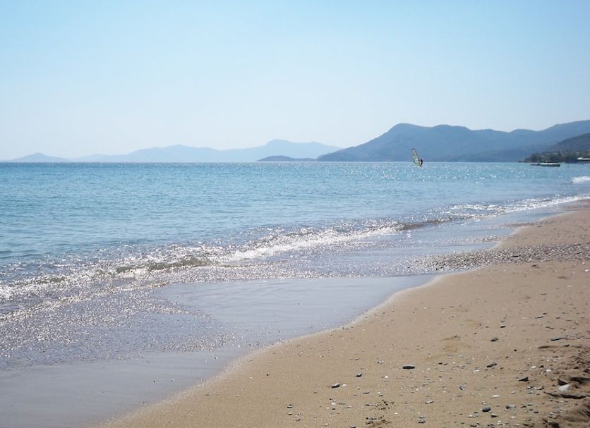 Beach Photo