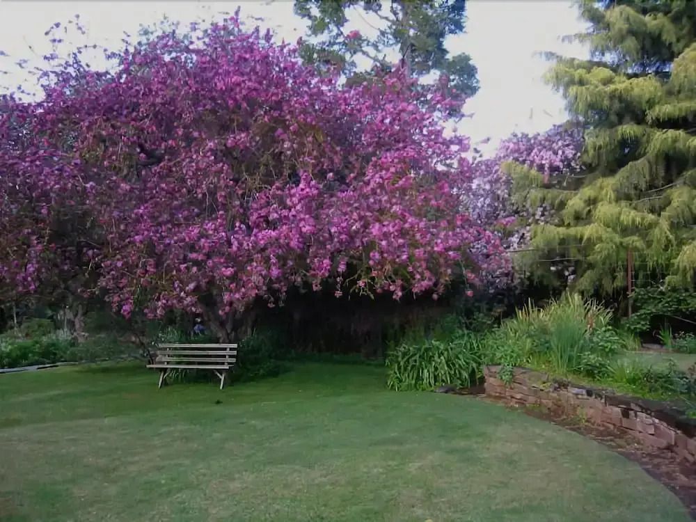 Outdoor view