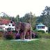 Outdoor view