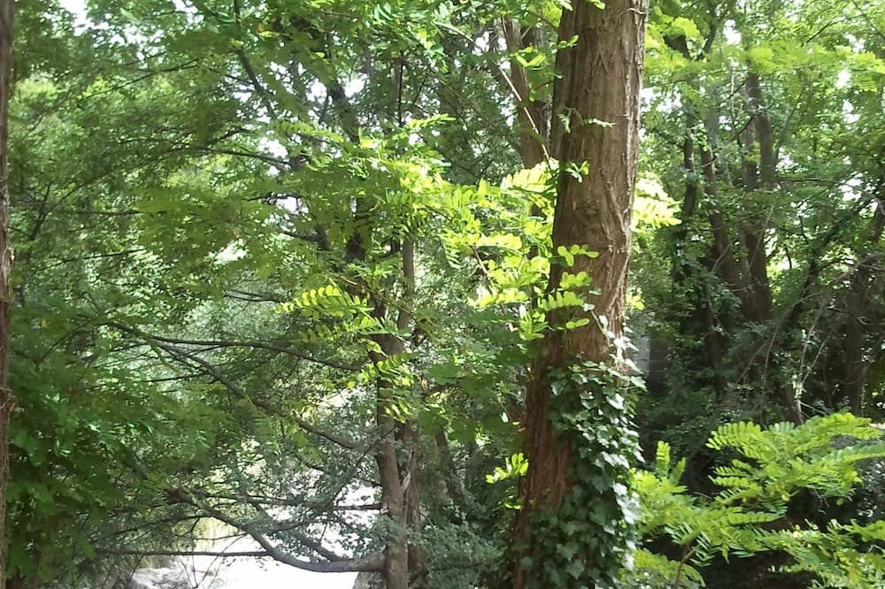 Outdoor view