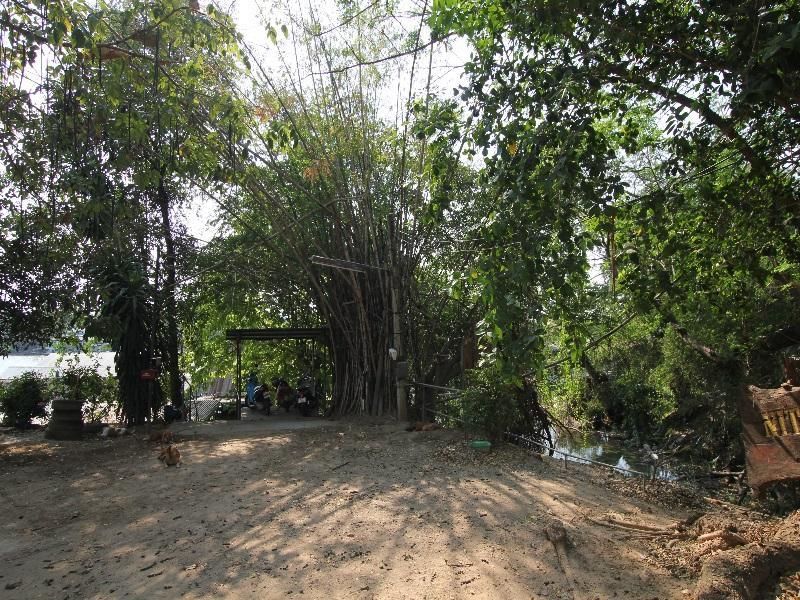 Outdoor view
