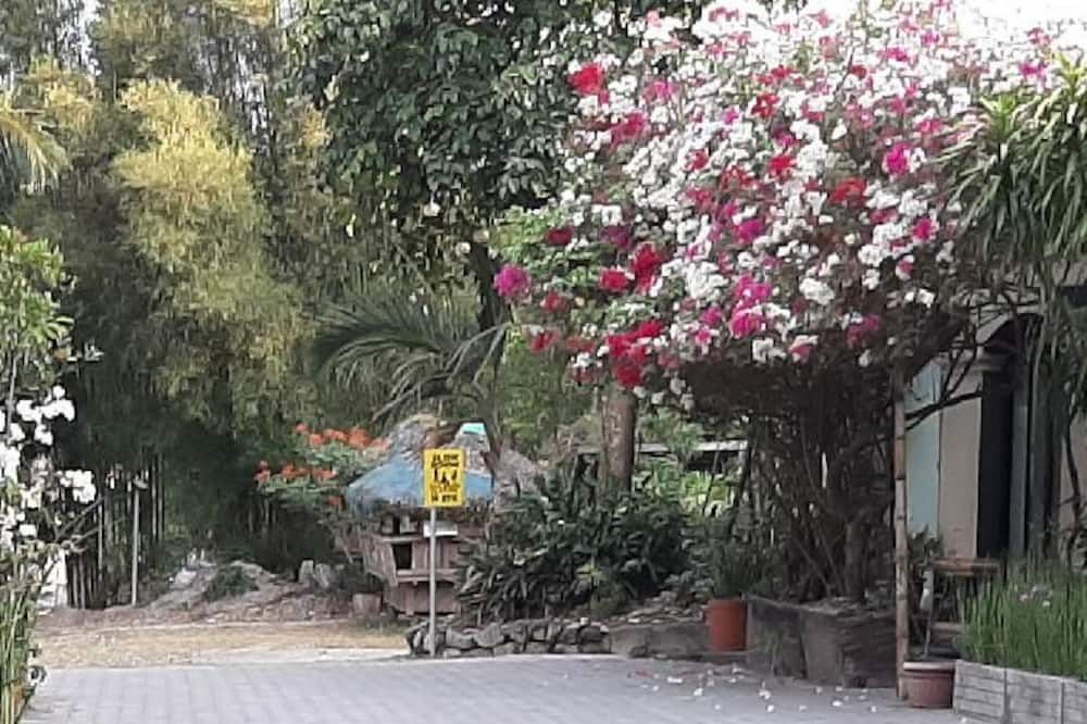 Outdoor view