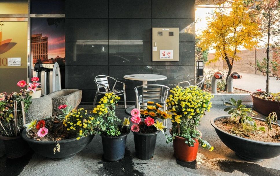 Patio Photo