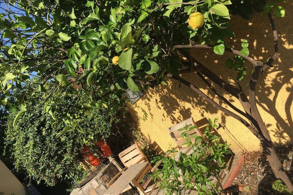 Outdoor view