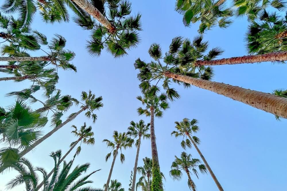 Outdoor view