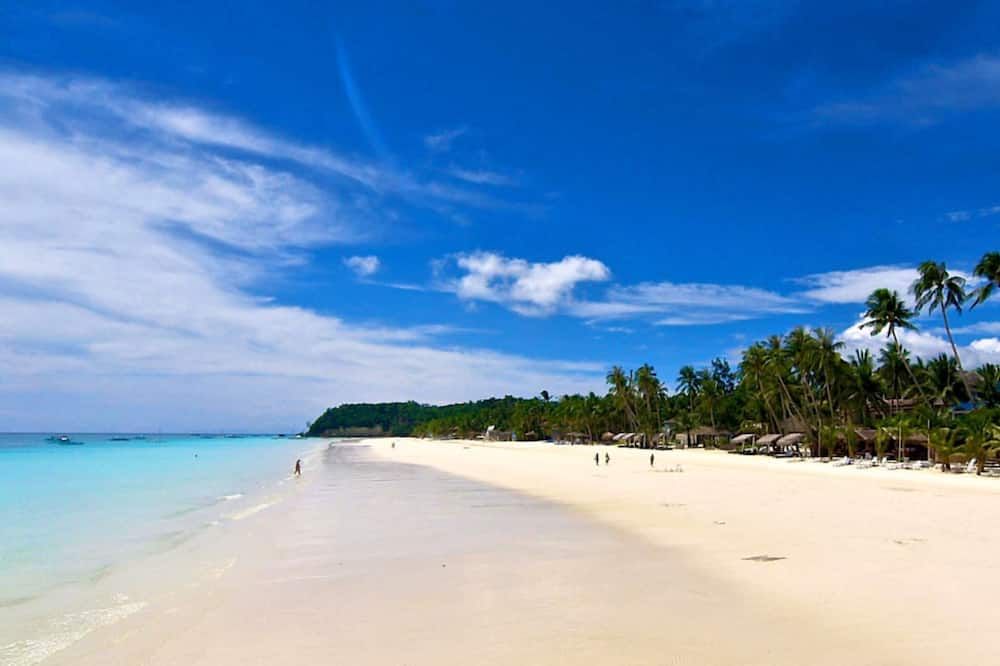 Beach Photo