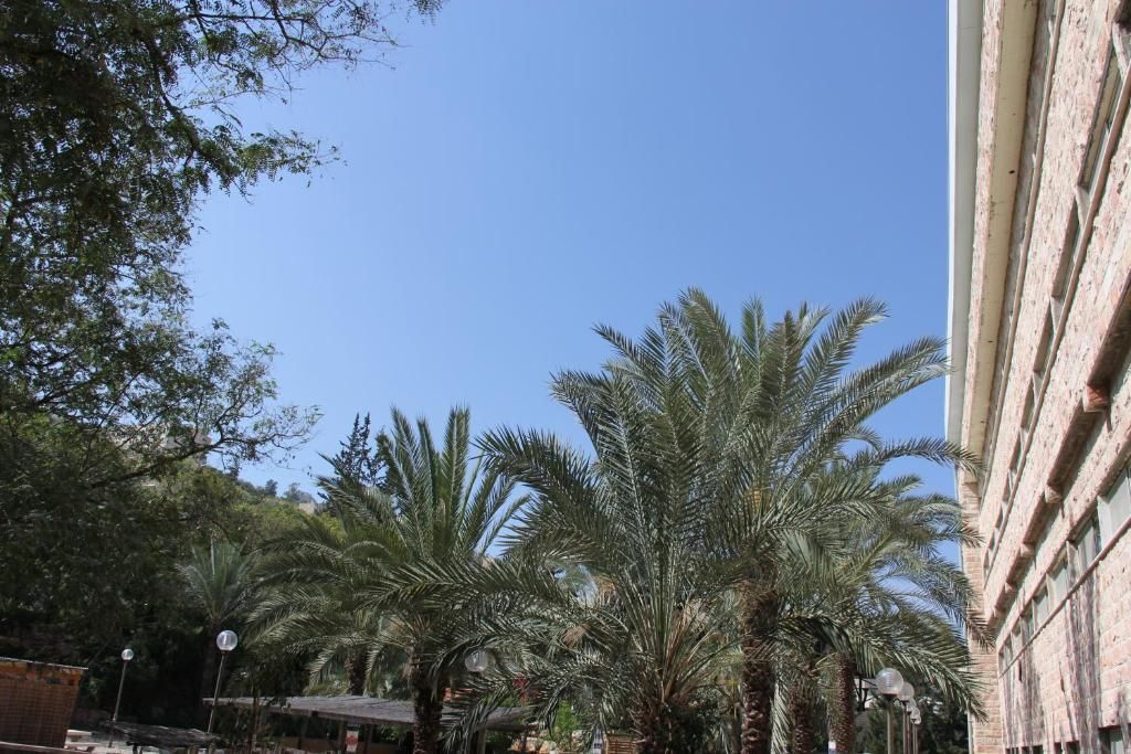 Outdoor view