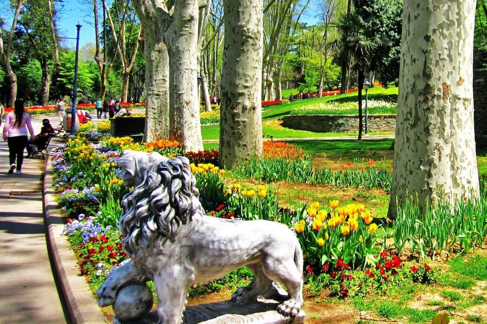 Outdoor view