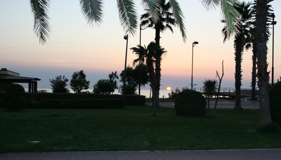 Outdoor view